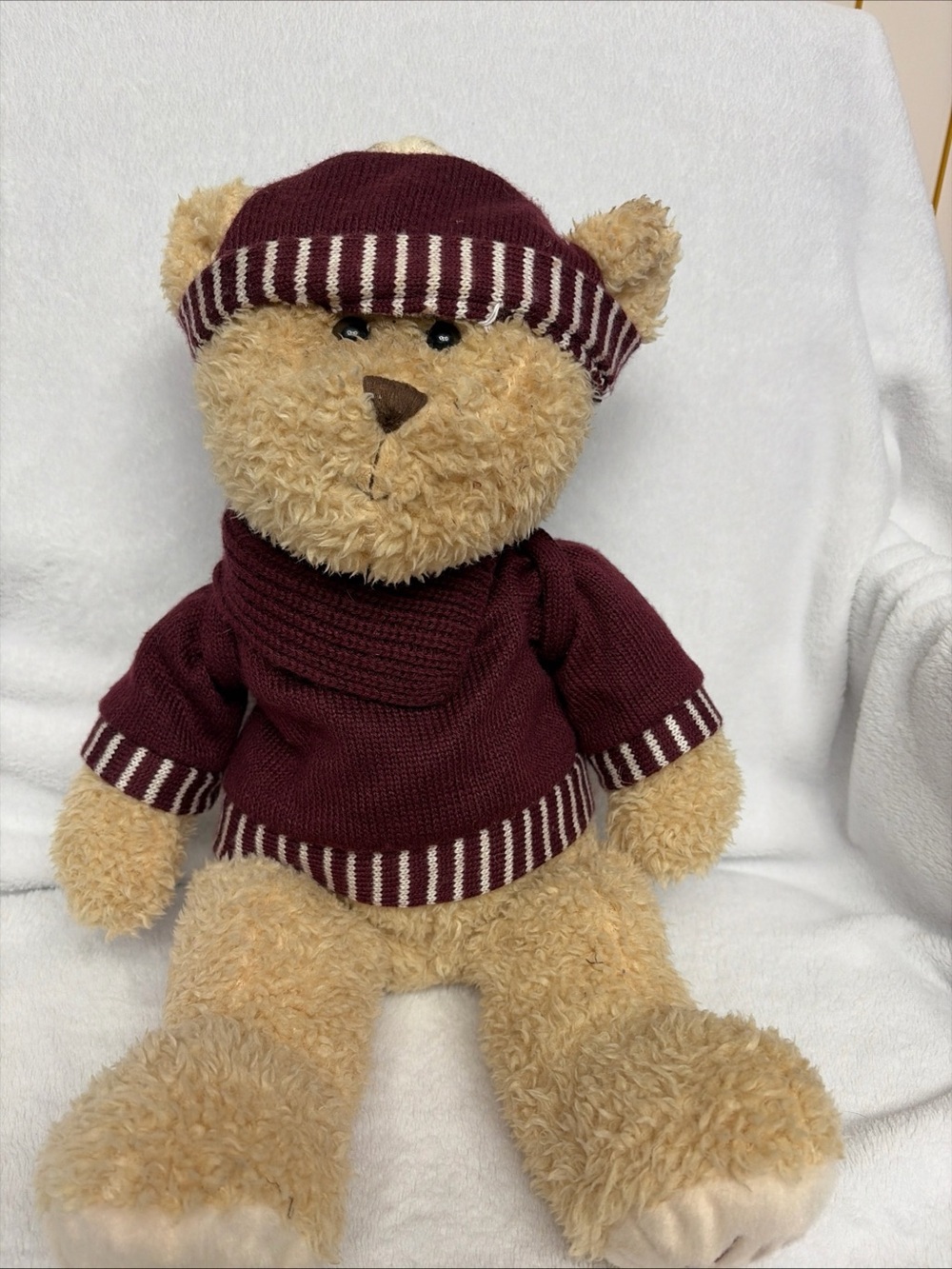 2005 the Helzberg Diamonds "I Am Loved" Back-to-School Teddy Bear,